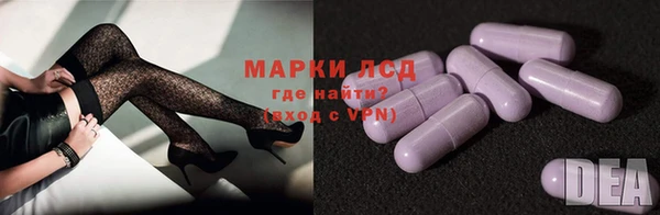 стаф Новокубанск