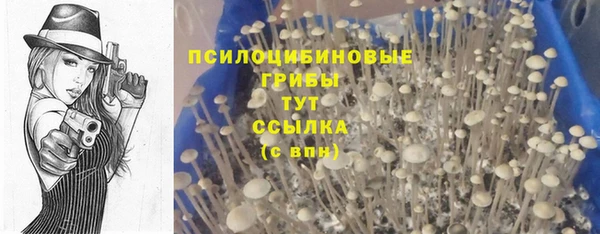 MDMA Алексеевка