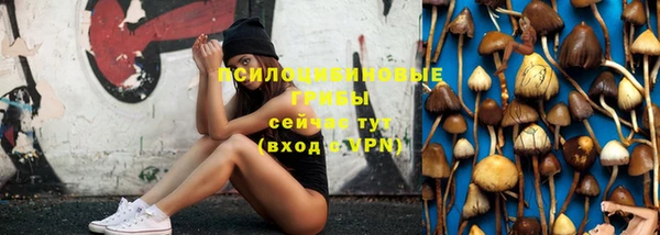 скорость Алзамай